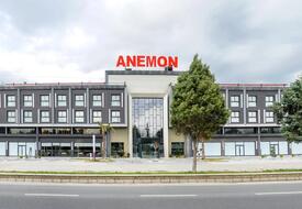 Anemon Aydın