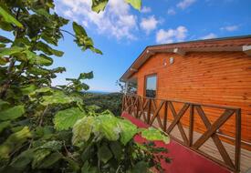Ağva Kilimli Tatil Evi 4
