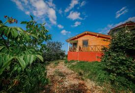 Ağva Kilimli Tatil Evi 5