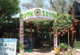 Zeytin Pansiyon Olimpos