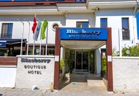 Blueberry Boutique Hotel