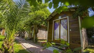 Likya Evleri Olympos