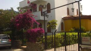 Tolan Apartments