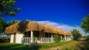 Cunda Fora Glamping