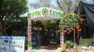 Zeytin Pansiyon Olimpos