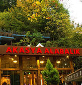 Akasya Alabalık