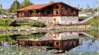 Kırşehir Restoranları ve Yemek Yerleri