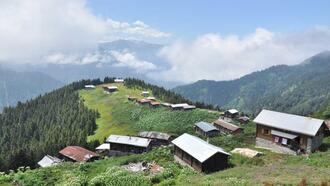 Pokut Yaylası