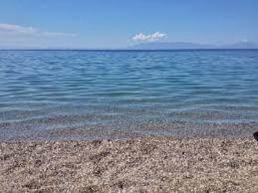 fan isimleri