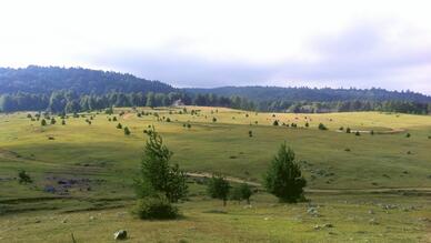 Sapanca Yaylaları