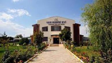 Van Kedi Evi