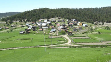 Kargı Yaylası