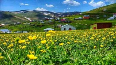 Kazıkbeli Yaylası