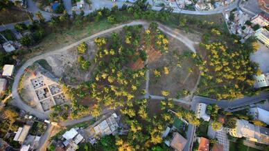 Gözlükule Höyüğü