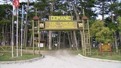 Domaniç Ormanları