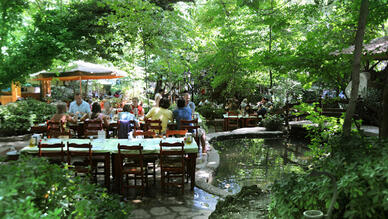 Çınar Restaurant Muğla