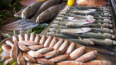 Selimpaşa Çapari Restaurant