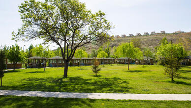 Ankara Çınaraltı Piknik Alanı