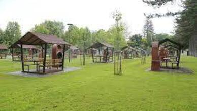 Regülatör Piknik Alanı