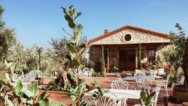 Urla Vino Locale
