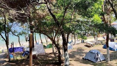 Sinop Orman Kampı