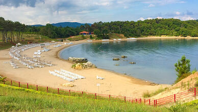 Miço Koyu