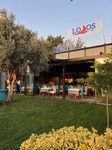 Lodos Balık