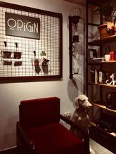 Origin Coffee & Shop