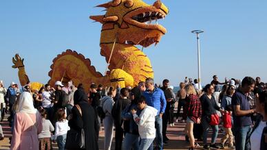 Mersin Narenciye Festivali