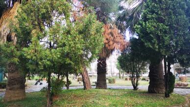 Ateşçiçeği Parkı