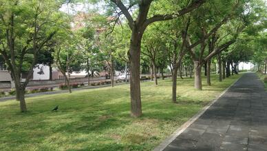 Gelincik Parkı