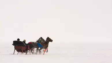 Atlı Kızakla Safari & Kar Kızağı
