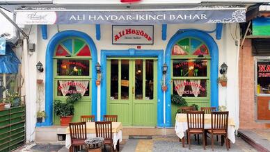 Ali Haydar İkinci Bahar