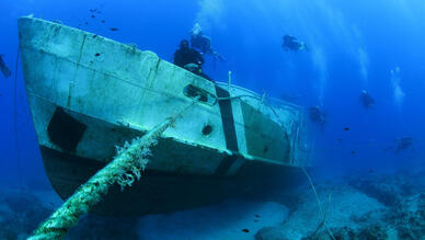 Blue Team Diving Center