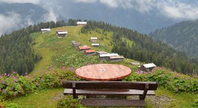 Rize'nin Bol Oksijenli Atmosferi: Pokut Yaylası Hakkında Her Şey