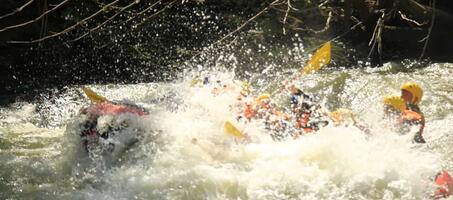 Melenci Rafting - Görsel 3