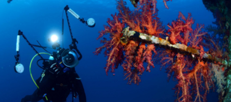 VipScuba Dalış Merkezi - Görsel 3