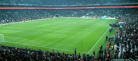 İnönü - Vodafone Arena Stadyumu - Görsel 1