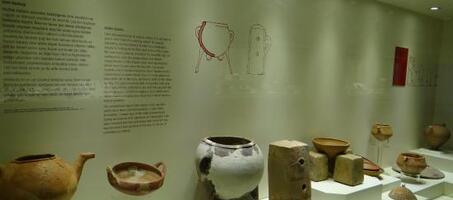 Alacahöyük Müzesi - Görsel 4