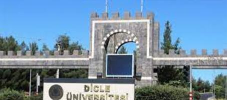 Dicle Üniversitesi - Görsel 1
