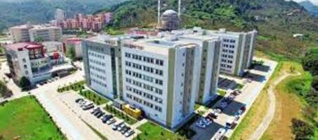 Giresun Üniversitesi - Görsel 4