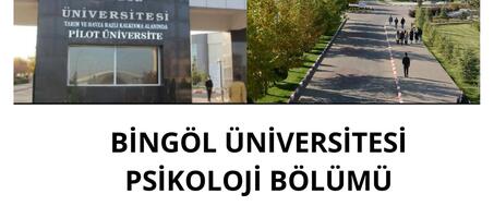 Bingöl Üniversitesi - Görsel 3