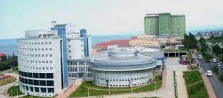 Karadeniz Teknik Üniversitesi - Görsel 1