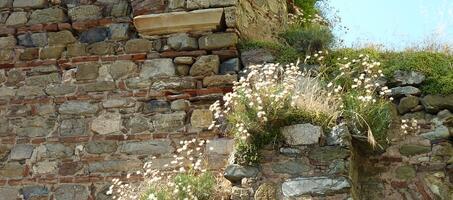 Mudanya Kemerli Kilise - Görsel 1