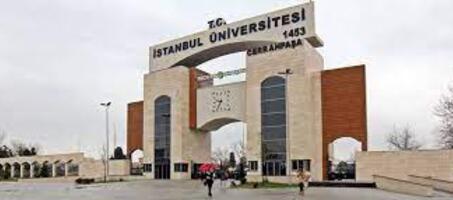 İstanbul Üniversitesi - Görsel 4