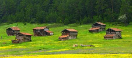 Kastamonu Yaylaları - Görsel 1