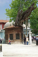 Sümbül Efendi Camii ve Tekkesi - Görsel 2