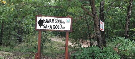 Hamam Gölü ve Longozu - Görsel 2