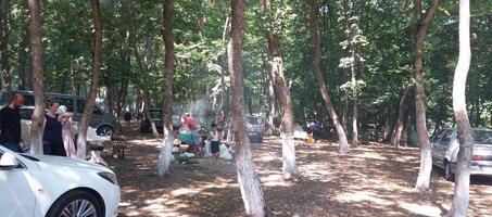 Kabakça Piknik Alanı - Görsel 1