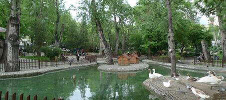 Kuğulu Park - Görsel 2